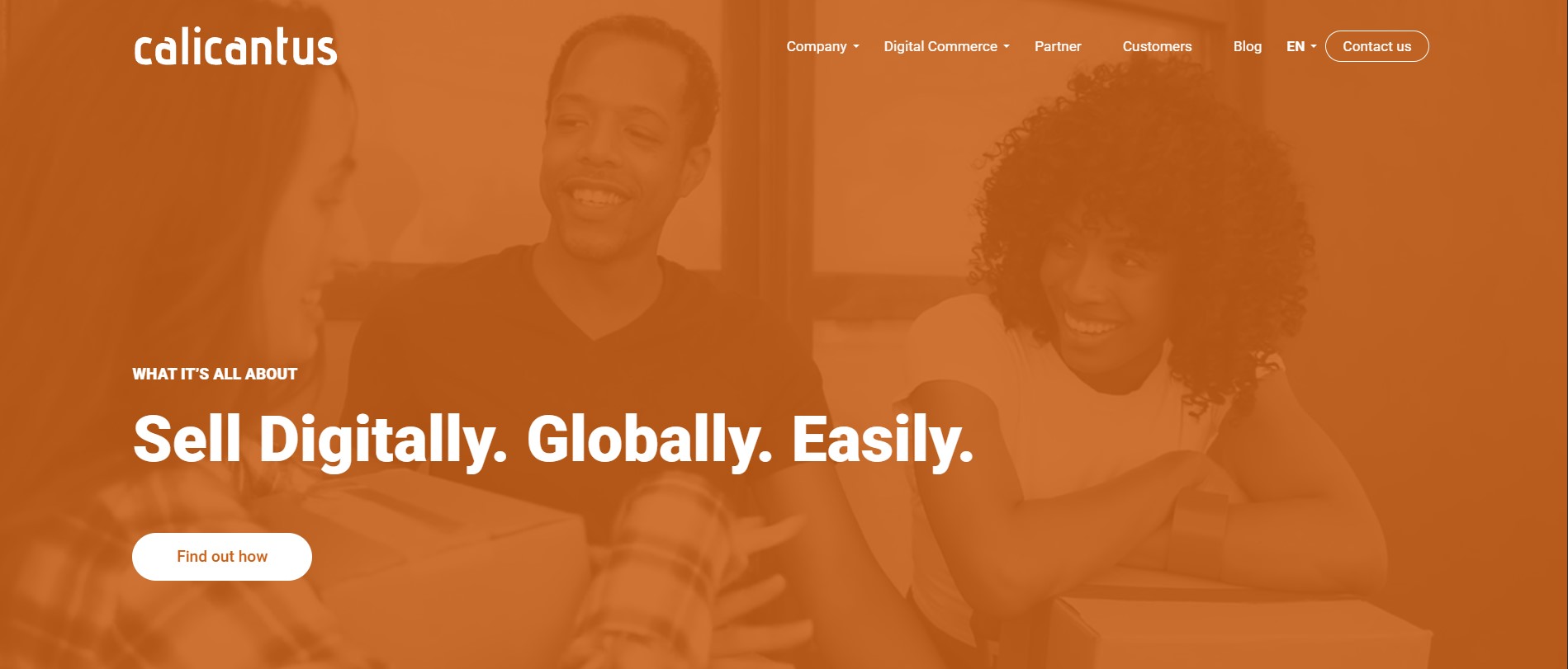 Calicantus agency overview 1